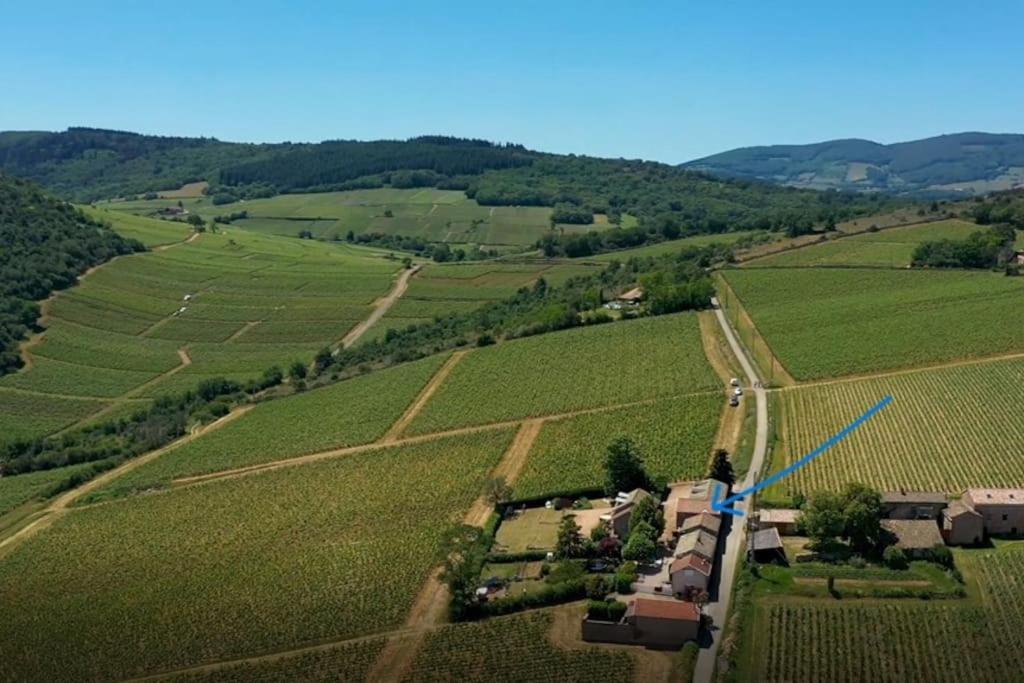 Le Tinailler Grand Standing Au Coeur Des Vignes Villa Prissé Екстериор снимка