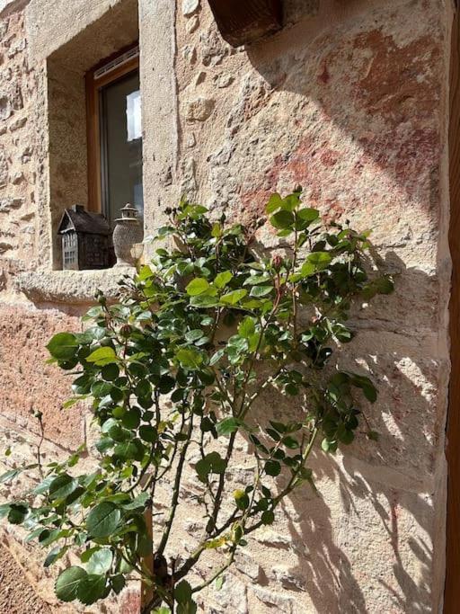 Le Tinailler Grand Standing Au Coeur Des Vignes Villa Prissé Екстериор снимка
