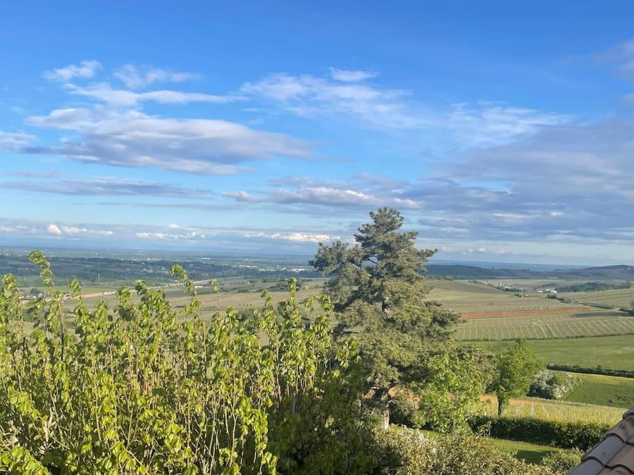 Le Tinailler Grand Standing Au Coeur Des Vignes Villa Prissé Екстериор снимка