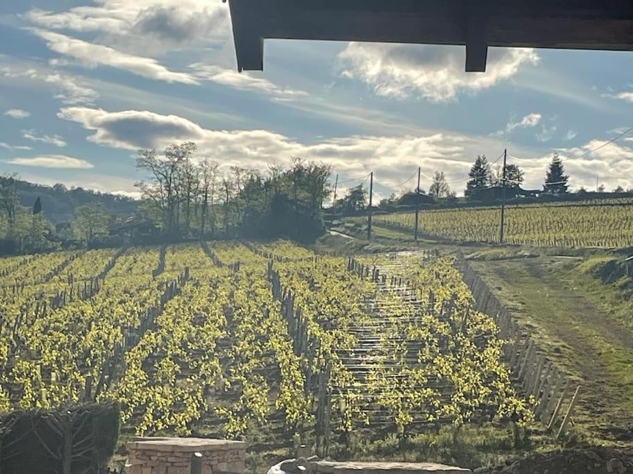 Le Tinailler Grand Standing Au Coeur Des Vignes Villa Prissé Екстериор снимка