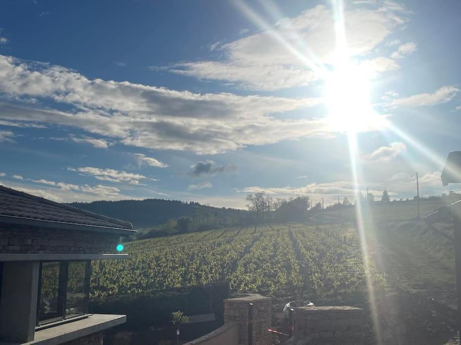 Le Tinailler Grand Standing Au Coeur Des Vignes Villa Prissé Екстериор снимка
